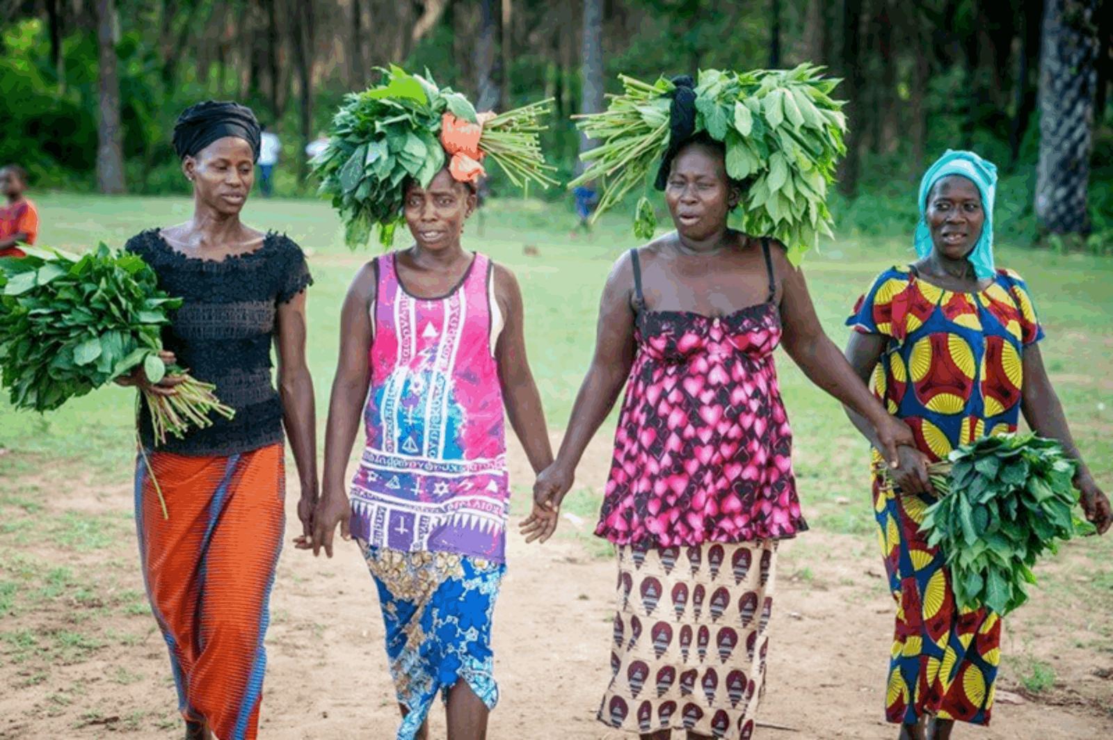 School feeding empowers parents to grow and sell vegetables
